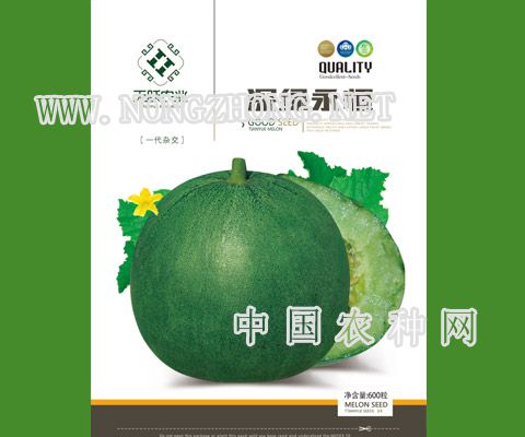 深绿永恒